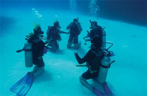 Group Meeting on the Ocean Floor