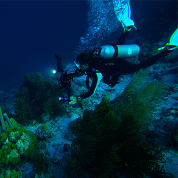 Diving Services – Divi Dive Bonaire